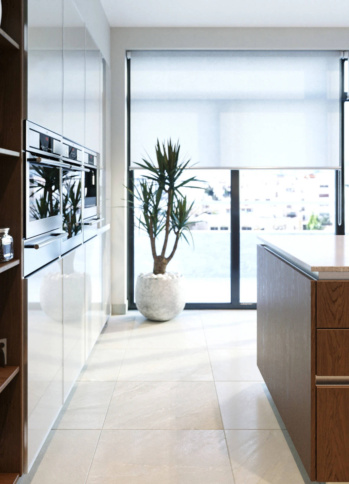 Modern Glass Kitchen — sunlit aisle beside integrated ovens and a plant at tall windows